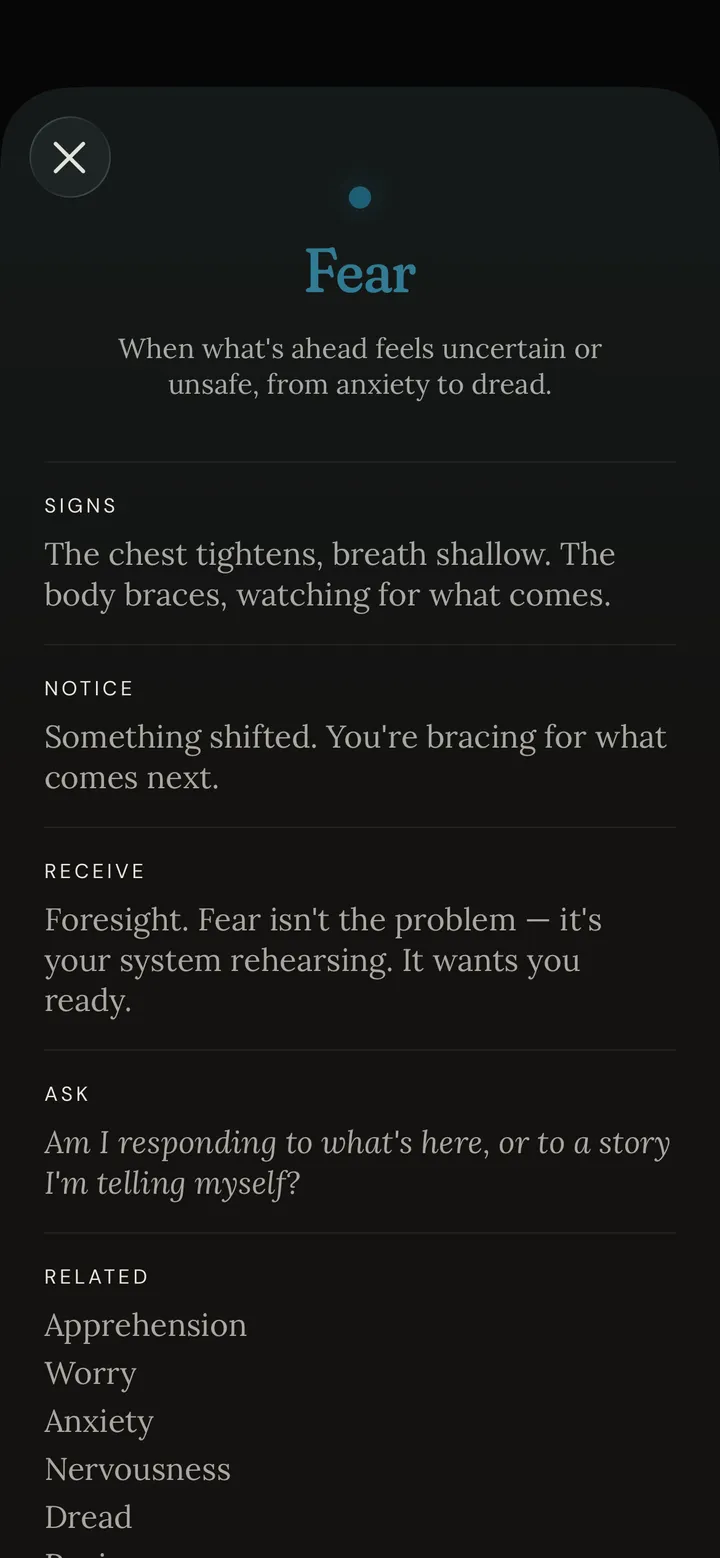 Feal's detail view for Fear: how it shows up in the body, what to notice, what it offers, a question to ask yourself, and related shades like Apprehension, Worry, and Anxiety.